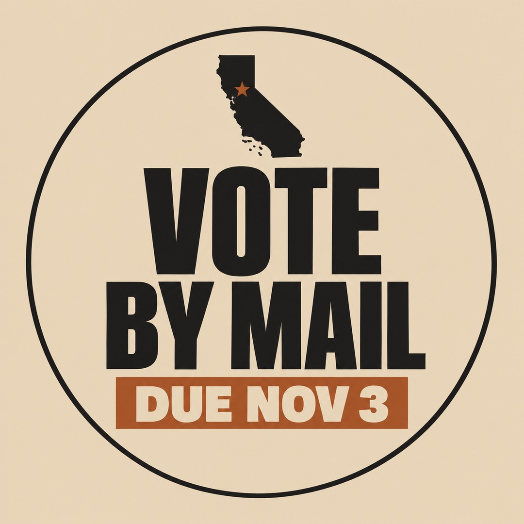 California vote picture, hand-made design 3