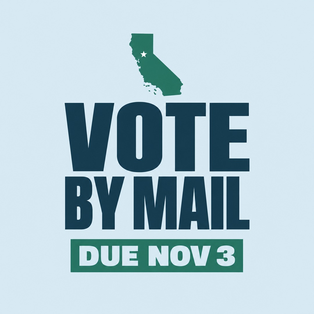 California vote picture, hand-made design 6