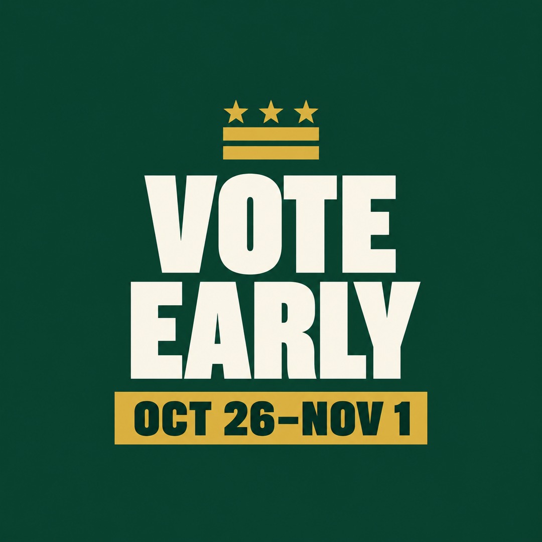 District of Columbia vote picture, hand-made design 7