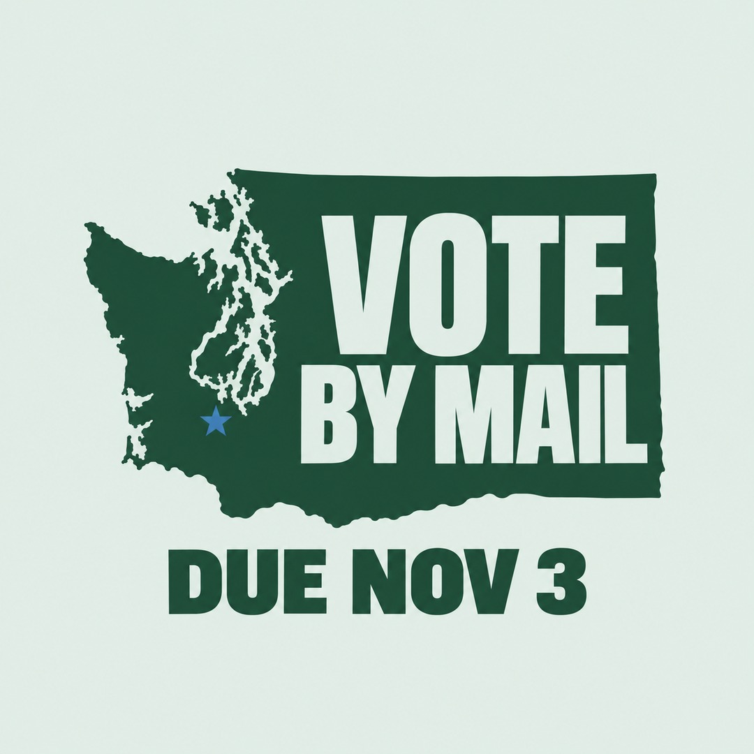 Washington vote picture, hand-made design 4